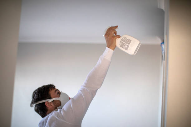 Best Office Mold Removal Services  in Clarksville, IA