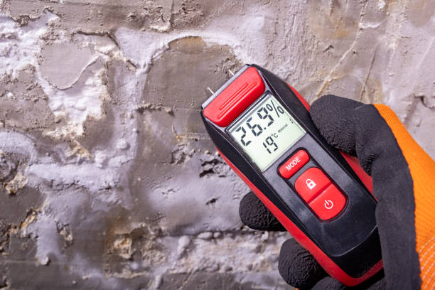 Best Crawl Space Mold Removal  in Clarksville, IA