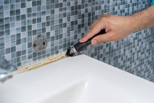 Best Black Mold Removal  in Clarksville, IA