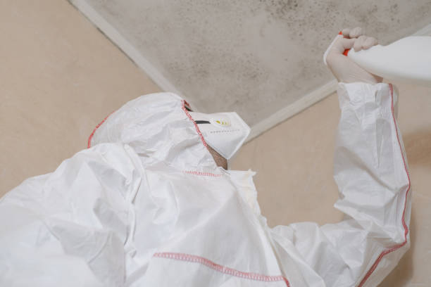 Best Professional Mold Removal  in Clarksville, IA
