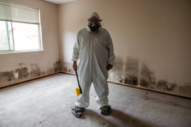 Certified Mold Removal in Clarksville, IA